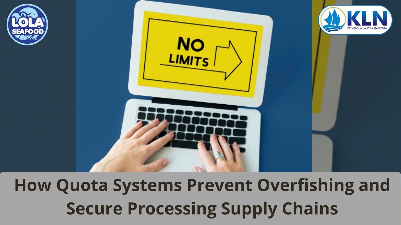 How Quota Systems Prevent Overfishing and Secure Processing Supply Chains